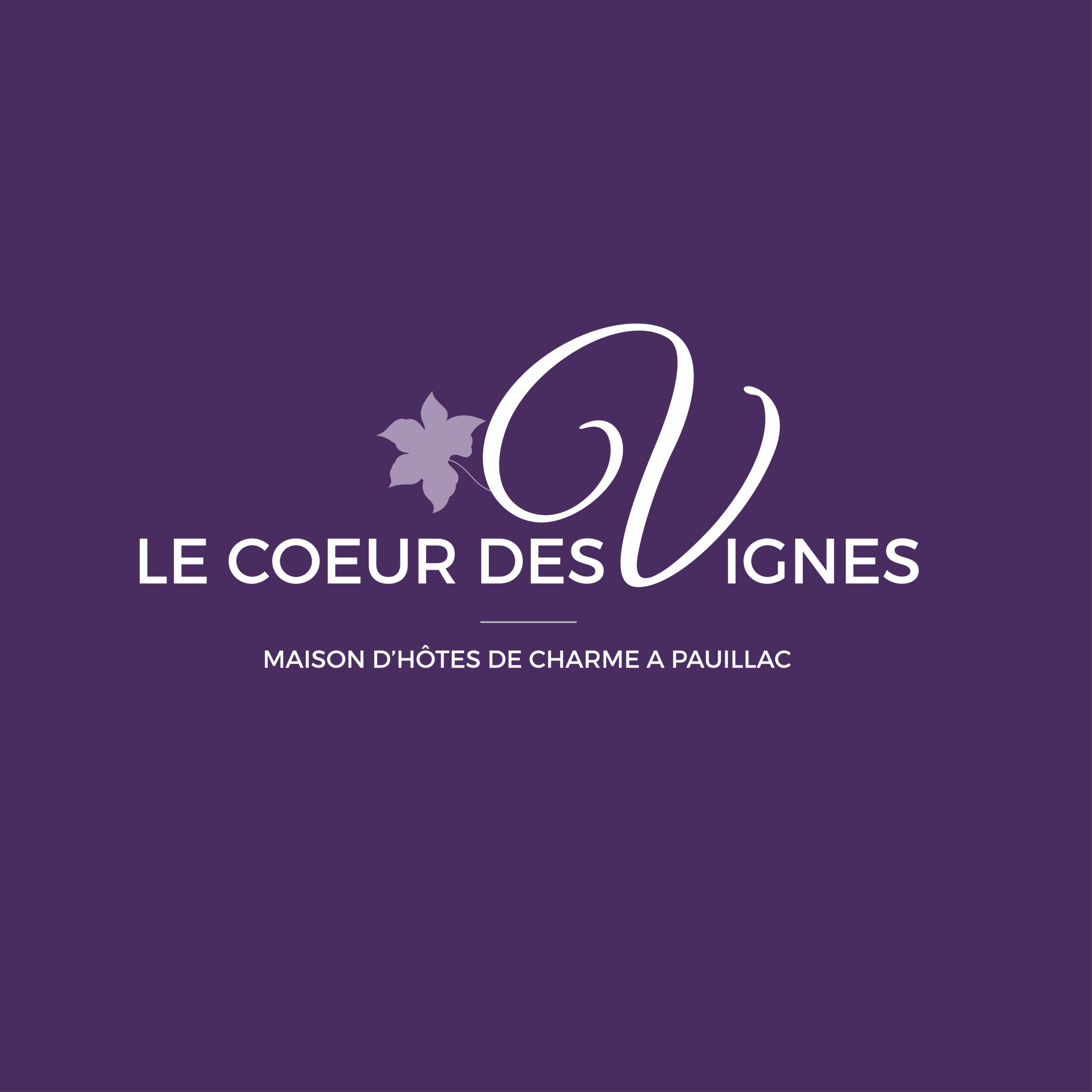 Maison d'hôtes Le Coeur des Vignes dans le Médoc à Pauillac, cinq chambres et un gîte, piscine, vignoble